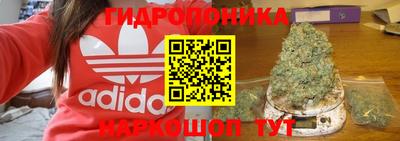 СК Ставрополь