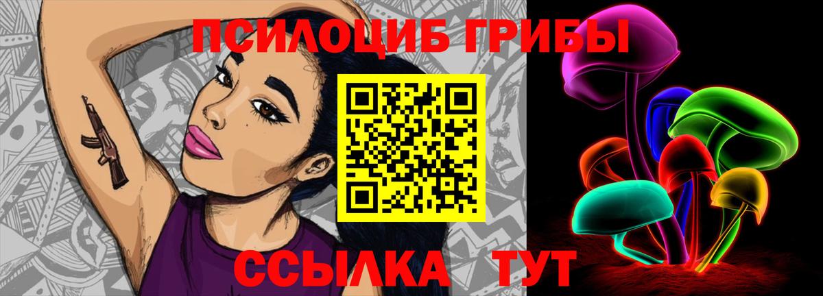 Пенза  Галлюциногенные грибы Cubensis  Вход с VPN 