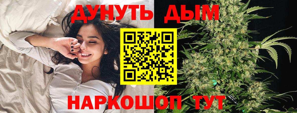 Конопля ГИДРОПОН  Марихуана AK-47  Марихуана план  Пенза  Вход с VPN 